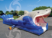 Double Big Kahuna Slide - Click here for description